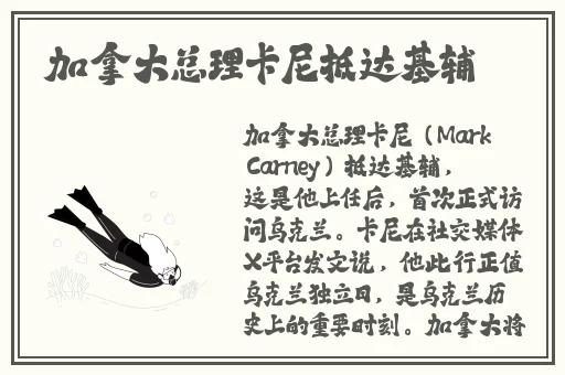 蜜菠萝影院